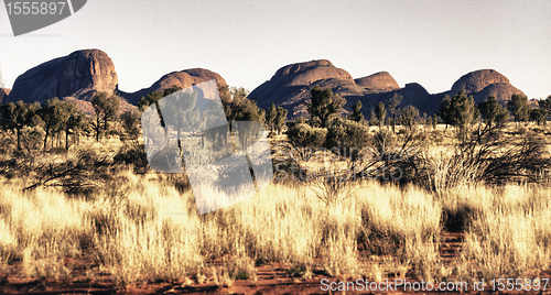 Image of Australian Outback Exploration