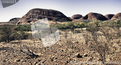 Image of Detail of Australian Outback