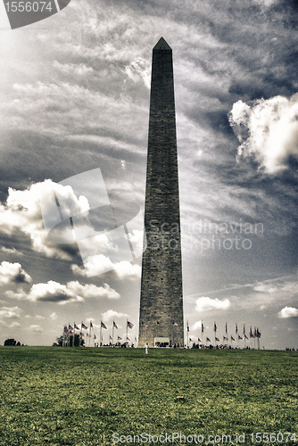 Image of Architecture Detail in Washington, DC