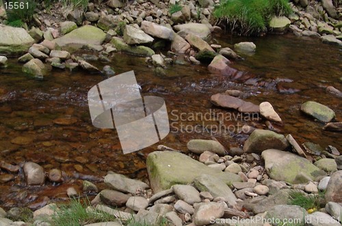 Image of stream