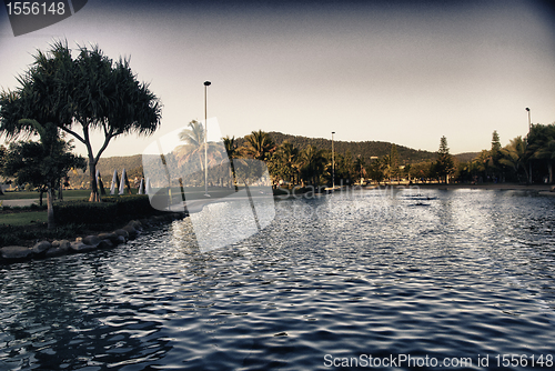 Image of Detail of Airlie Beach, Queensland