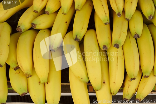 Image of Bananas