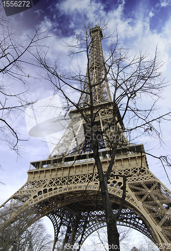 Image of Eiffel Tower with Bare Tree