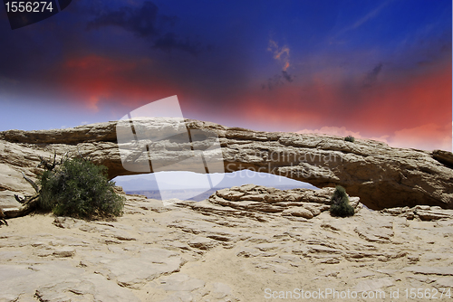 Image of Nature of Arches National Park