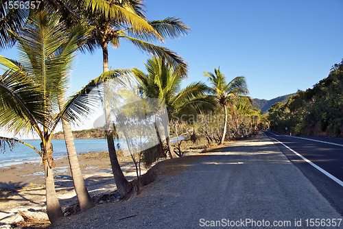 Image of Cairns-Port Douglas Coast, Australia