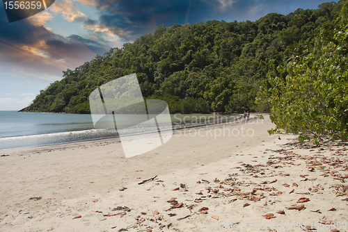 Image of Vegetation and Ocean in Cape Tribulation