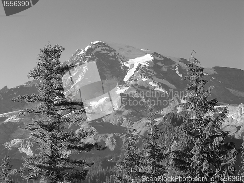 Image of Mount Rainier, Washington