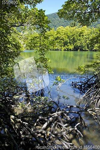 Image of Mossman Gorge in Queensland, Australia