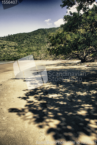 Image of Vegetation and Colors of Cape Tribulation, Queensland