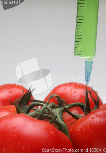 Image of Injection into fresh red tomato