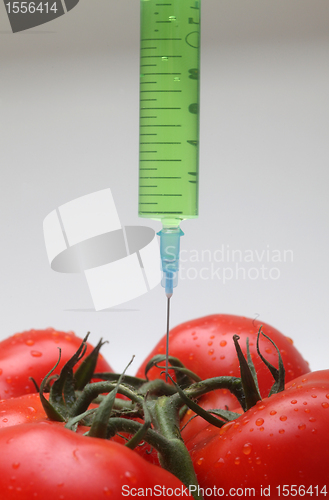 Image of Injection into fresh red tomato