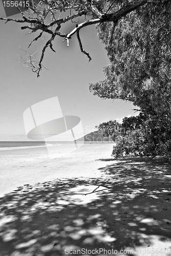 Image of Beach of Daintree, Queensland