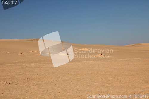 Image of Sahara desert