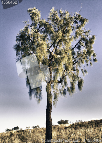 Image of Australian Outback Exploration