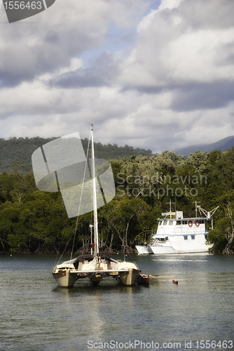 Image of Coast near Port Douglas, Australia