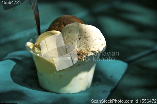 Image of Queensland Ice Cream