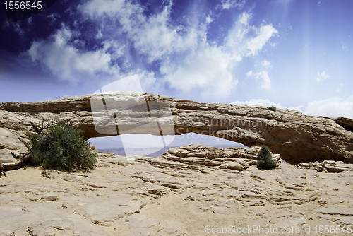 Image of Nature of Arches National Park