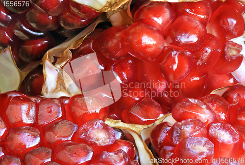 Image of Pomegranate macro with Seeds