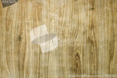 Image of grunge wood