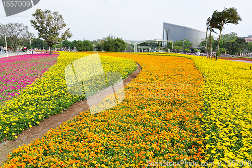 Image of flower field in city