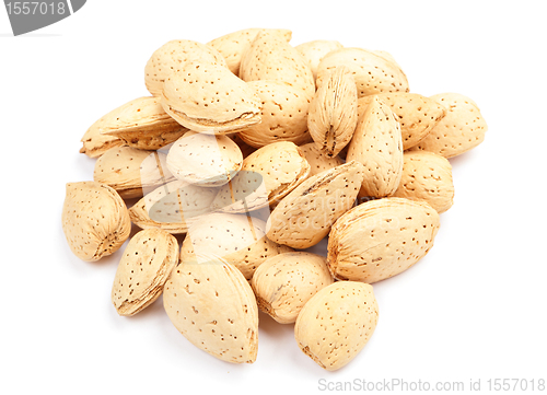 Image of almond nut