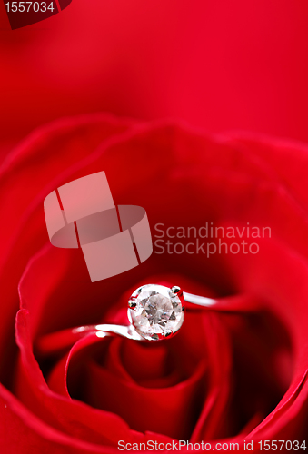 Image of rose with ring