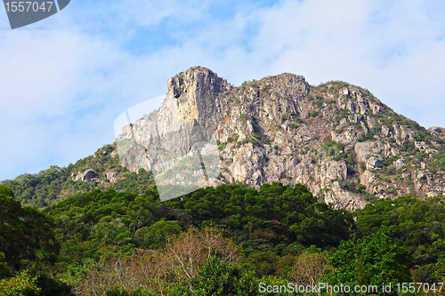 Image of Lion Rock, lion like mountain in Hong Kong, one of the symbol of