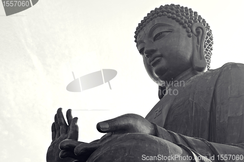 Image of Tian Tan Buddha