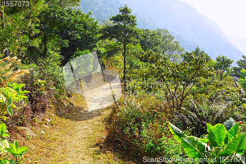 Image of path for hiking