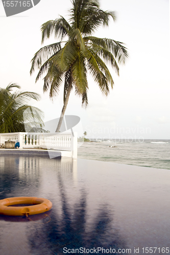 Image of infinity swimming pool Corn Island Nicaragua