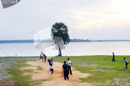 Image of Cricket in Sri Lanka