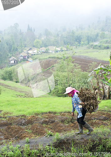 Image of Indonesian village