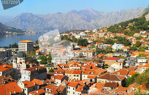 Image of Kotor