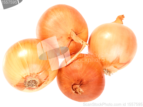 Image of Four a orange fresh onions