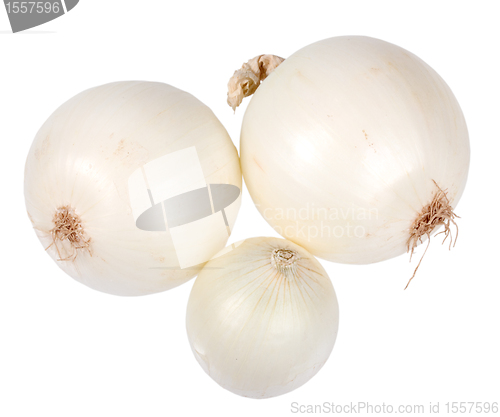 Image of Three a white fresh onions