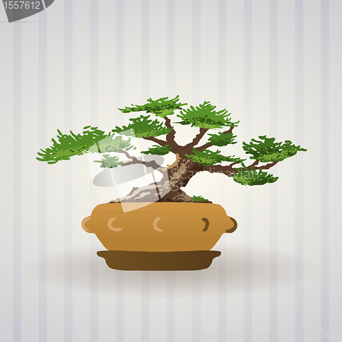 Image of Bonsai Tree Illustration Art