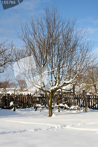 Image of Wintertime