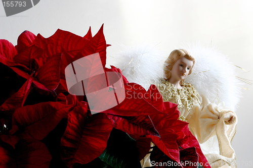 Image of angel and poinsettias