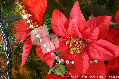 Image of poinsettia and beads