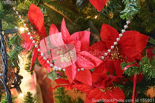 Image of poinsettia and beads on the tree