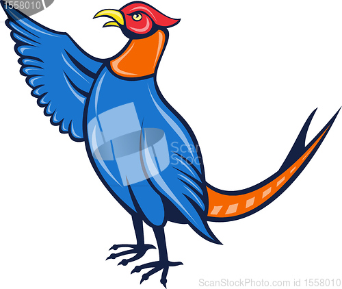 Image of cartoon pheasant bird 