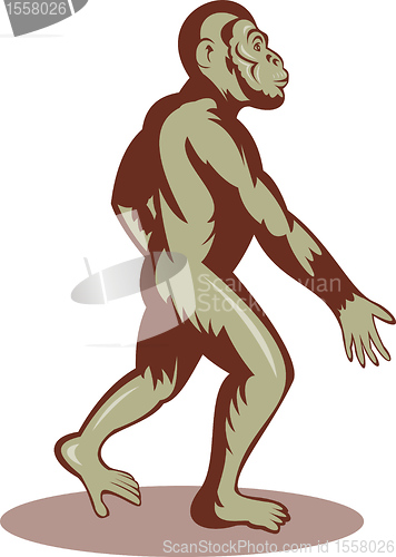 Image of Prehistoric man or ape walking upright