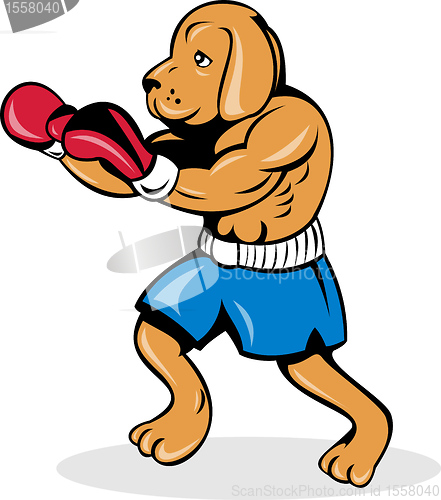 Image of boxer dog with gloves