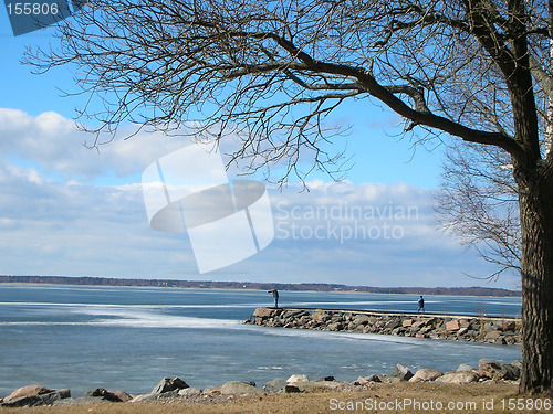 Image of Spring Beach