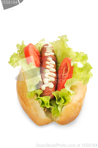 Image of Tasty and delicious hotdog