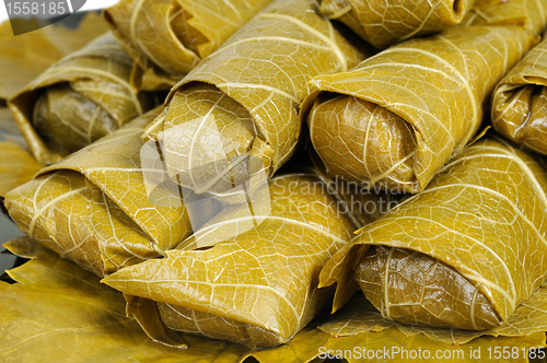 Image of Dolma on a plate