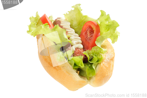 Image of Tasty and delicious hotdog