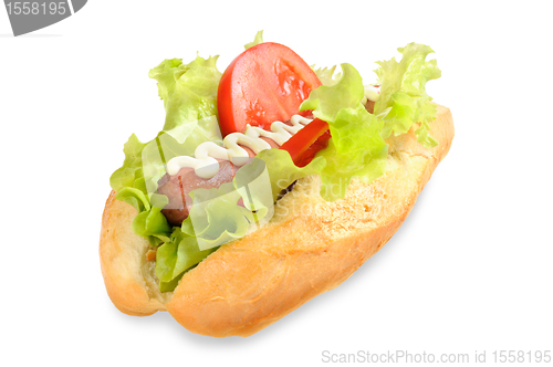 Image of Tasty and delicious hotdog