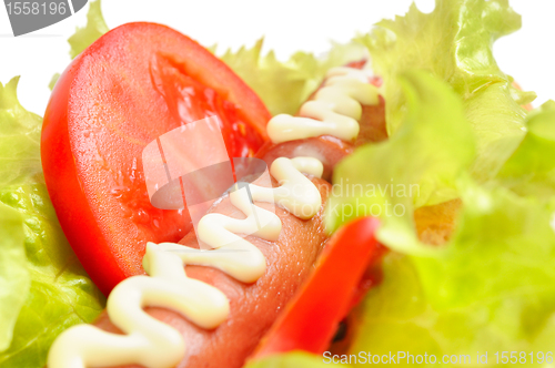 Image of Tasty and delicious hotdog