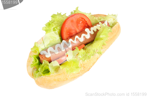Image of Tasty and delicious hotdog